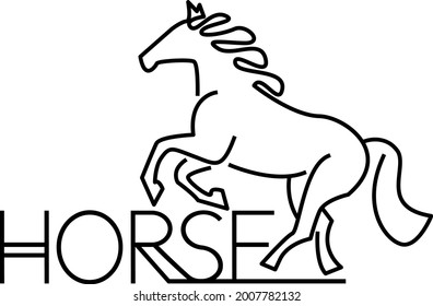 Horse. Vector linear icons and logo design elements