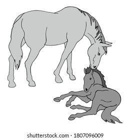 Horse vector in monochrome colour icon illustration design