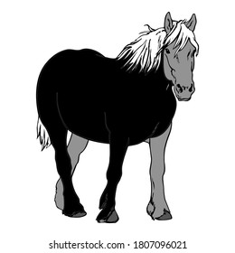 Horse vector in monochrome colour icon illustration design