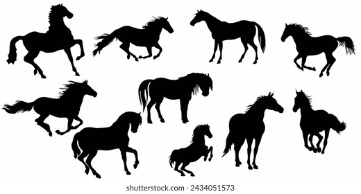 Horse vector set or bundle .collection of horse. running horse vector set 