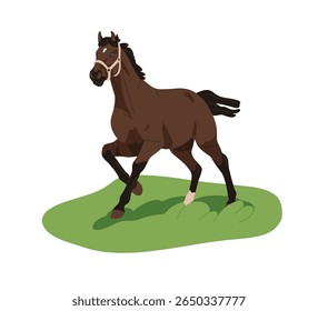 Horse walking on grass field. Domestic thoroughbred steed, farm stallion with halter on pasture, outdoors in nature. Equine animal in movement. Flat vector illustration isolated on white background