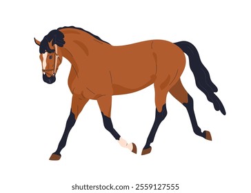 Horse walking, trotting. Graceful equine animal, thoroughbred stallion. Mare in motion, movement. Country rural steed in moving pose. Flat graphic vector illustration isolated on white background