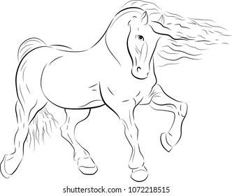 horse with waving mane