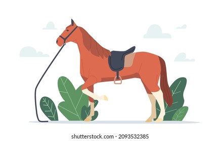 Horse Wear Bridle Isolated on White Background. Walking Mustang, Stallion Farm or Ranch Domestic Animal. Mare Side View, Trained Trotter Stand with Raised Hoof. Cartoon Vector Illustration