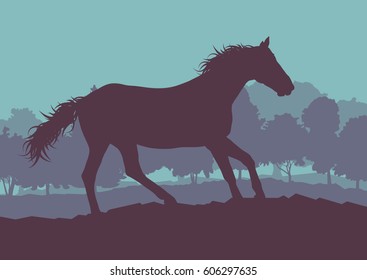 Horse wild forest trees landscape with sunset vector background