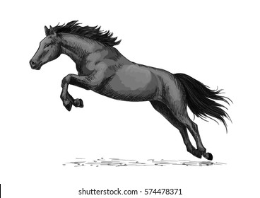 Horse or wild stallion running in gallop and jumping over. Black mustang trotter racer or racehorse vector symbol for equine sport races or rides, equestrian sport contest or exhibition