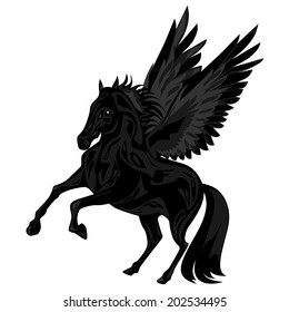Horse with wings