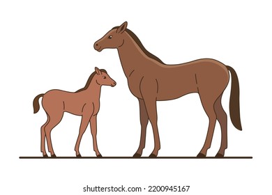 Horse and young colt. lllustration of mom and her baby. Vector illustration with farm animals in cartoon style.