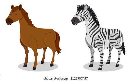 Horse and Zebra on White Background illustration