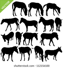 Horse and Zebra silhouettes vector