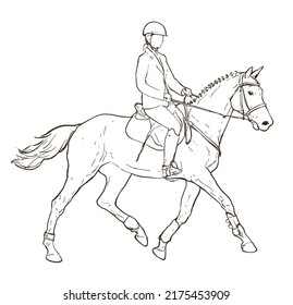 Horseback rider outline drawing on white, hand drawn illustration on equestrian sports theme, horse and young female sketch