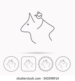 Horseback riding icon. Jockey rider sign. Horse sport symbol. Linear circle, square and star buttons with icons.