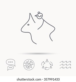 Horseback riding icon. Jockey rider sign. Horse sport symbol. Global connect network, ocean wave and chat dialog icons. Teamwork symbol.
