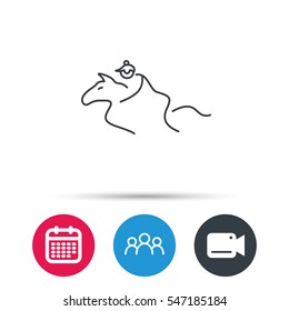 Horseback riding icon. Jockey rider sign. Horse sport symbol. Group of people, video cam and calendar icons. Vector