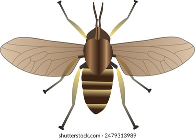 Horse-flies and deer flies are true flies in the family Tabanidae in the insect order Diptera. 