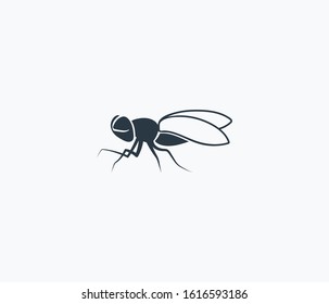 Horsefly icon isolated on clean background. Horsefly icon concept drawing icon in modern style. Vector illustration for your web mobile logo app UI design.