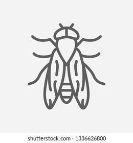 Horsefly icon line symbol. Isolated vector illustration of  icon sign concept for your web site mobile app logo UI design.