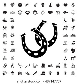 Horsehoe icon illustration isolated vector sign symbol