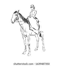 Horseman on horseback. Gentleman wearing nineteenth-century clothing. Drawing for coloring