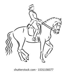 Horsemanship, jumping horse, dressing horse sketch, contour vector illustration 