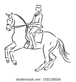 Horsemanship, jumping horse, dressing horse sketch, contour vector illustration 