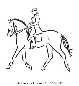 Horsemanship, jumping horse, dressing horse sketch, contour vector illustration 