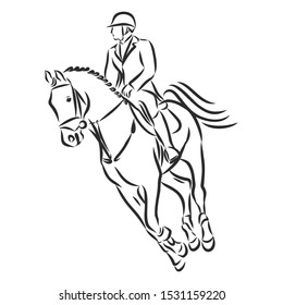 Horsemanship, jumping horse, dressing horse sketch, contour vector illustration 