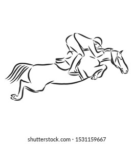 Horsemanship, jumping horse, dressing horse sketch, contour vector illustration 