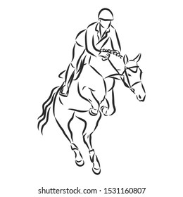 Horsemanship, jumping horse, dressing horse sketch, contour vector illustration 