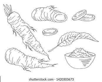 Horseradish graphic set black white isolated illustration vector