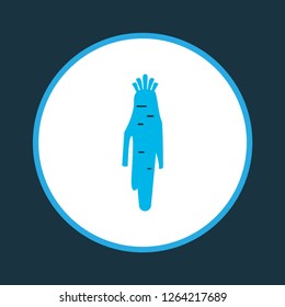 Horseradish icon colored symbol. Premium quality isolated parsnip element in trendy style.