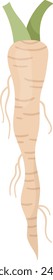 Horseradish On Stem Vector Illustration