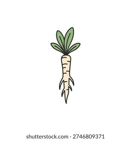 Horseradish Plant with Long Taproot Flat Vector Icon