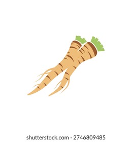 Horseradish Root with Double Taproot Flat Vector Icon