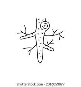 Horseradish roots сolor line icon. Essential oils fruit seeds. Pictogram for web page, mobile app, promo. UI UX GUI design element. Editable stroke.