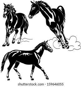 Horses