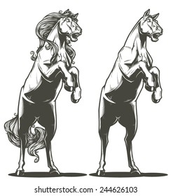 Horses