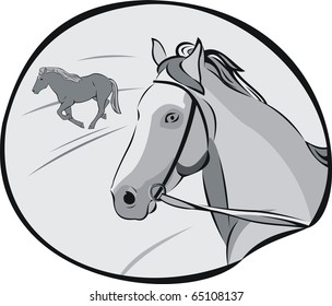 horses