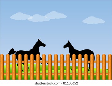 Horses
