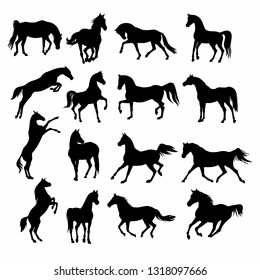 Horses animal black silhouettes. Equine vector illustration.