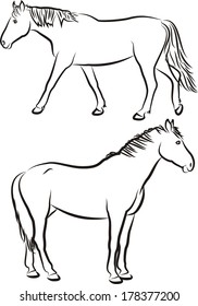 horses - black and white vector outlines