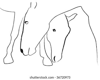 Horses, b&w sketch
