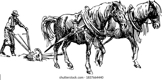 horses carriage, Drawing of Dutch draft horses with carriage