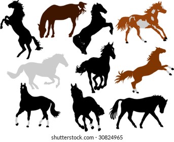 horses collection vector