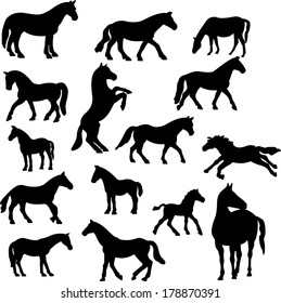 Horses collection vector silhouette 