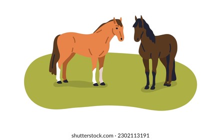 Una pareja de caballos parados en el césped. Stallion y mare, dos animales equinos, cabras en el césped, campo agrícola, pasto en la naturaleza. Ilustración vectorial plana aislada en fondo blanco