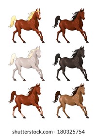 Horses in different colors. Isolated vector animals.