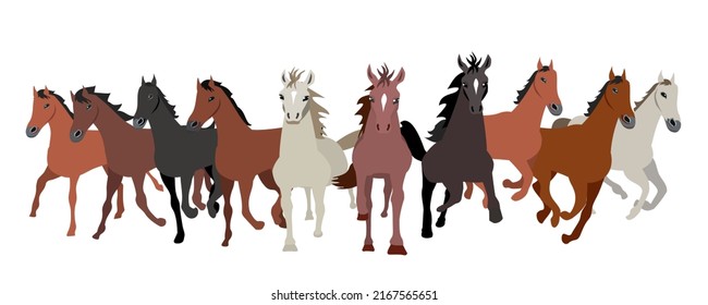 Horses of different colors running forward. front view.