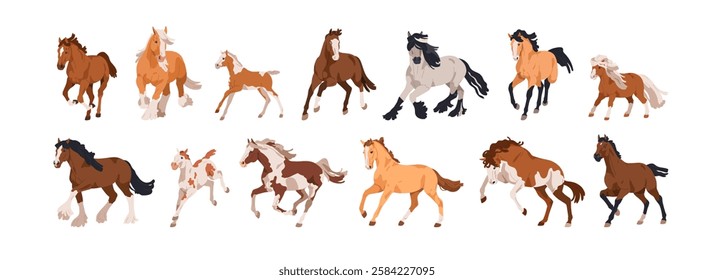 Horses in dynamic poses, movement. Different equine animal breeds set. Thoroughbred stallions, ponies trotting, galloping, frolicking. Flat graphic vector illustration isolated on white background