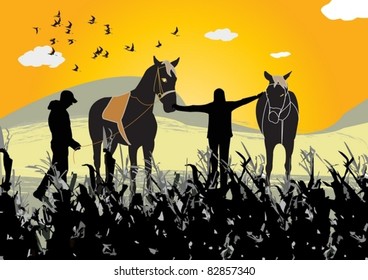 Horses in field